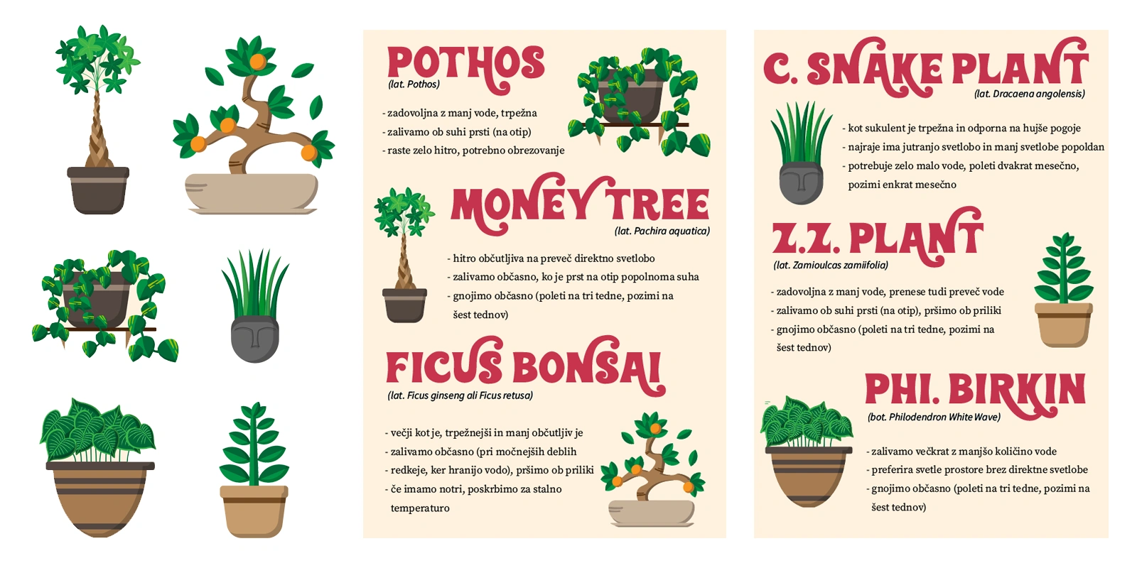 Plant care poster design